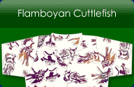 Flamboyan Cuttlefish