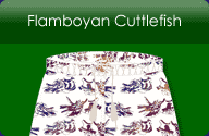 Flamboyan Cuttlefish